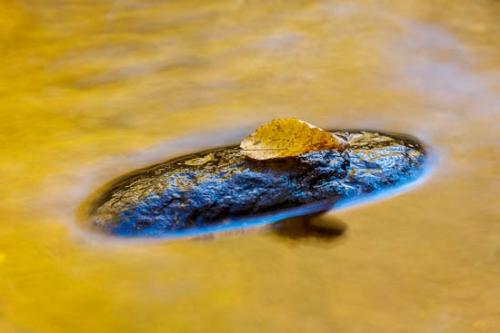 Blue;Brown;Fallen;Fallen Leaves;Gold;Leaf;Mirror;Orange;Reflection;Reflections;Rock;Stone;Stones;Stream;Tan;Wabi Sabi;Water;Yellow;botanical;pool